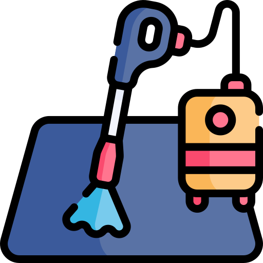 Professional Carpet Cleaning Service